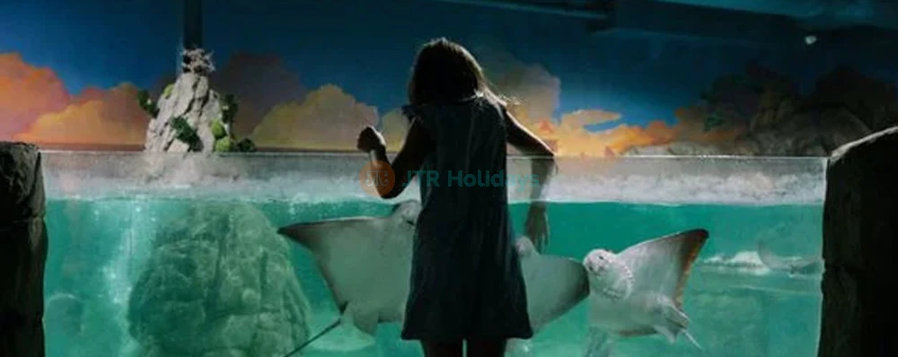 SeaQuest Las Vegas - Image 4 of 5