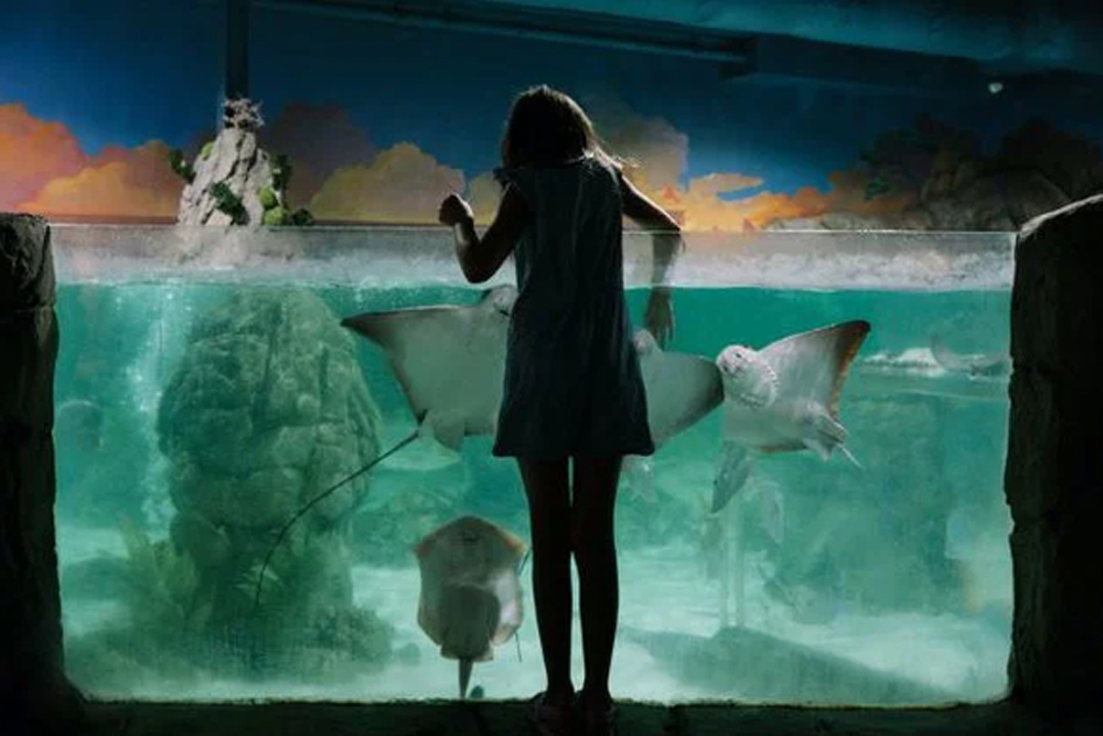 One World Interactive Aquarium - Image 4 of 5