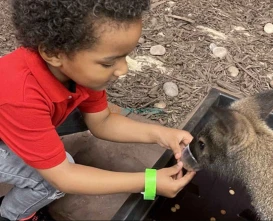 SeaQuest Las Vegas: Over 1,000 Creatures Await - JTR Holidays
