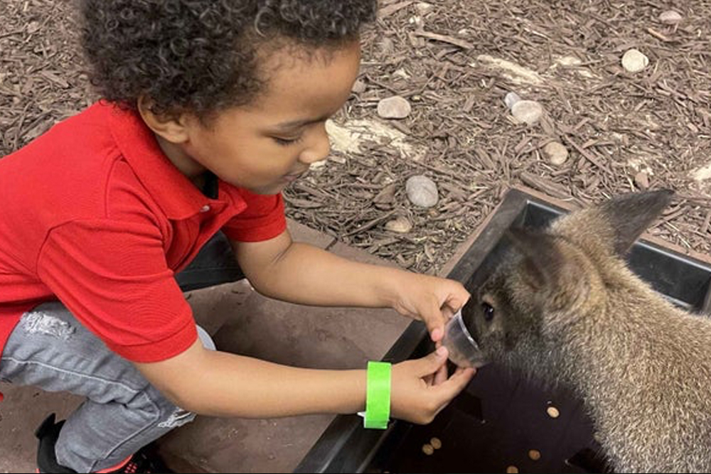 SeaQuest Las Vegas - Image 5 sur 5