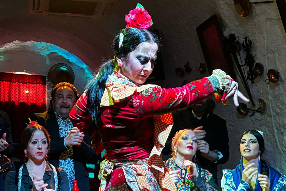 Cuevas Los Tarantos flamenco show in Sacromonte - Image 6 of 8