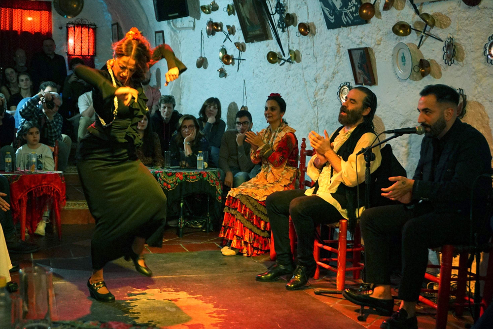 Cuevas Los Tarantos flamenco show in Sacromonte - Image 7 of 8