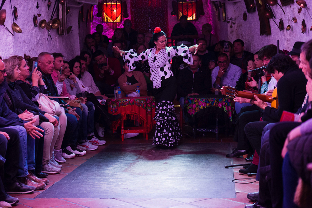 Cuevas Los Tarantos flamenco show in Sacromonte - Image 8 of 8