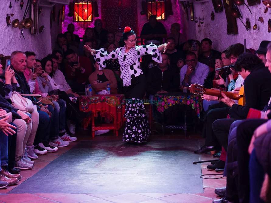 Cuevas Los Tarantos Flamenco Show | Authentic Flamenco in Sacromonte - JTR Holidays - Image 8 of 8