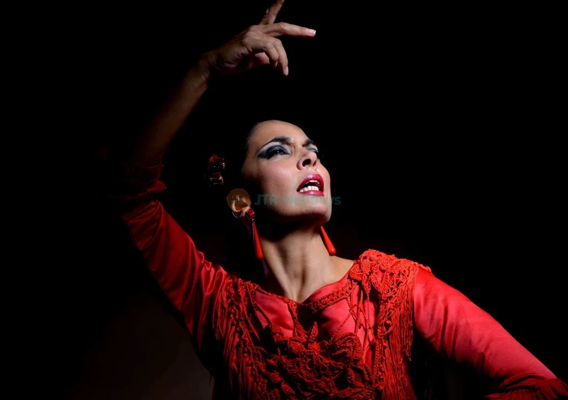 Sensaciones flamenco show in Granada