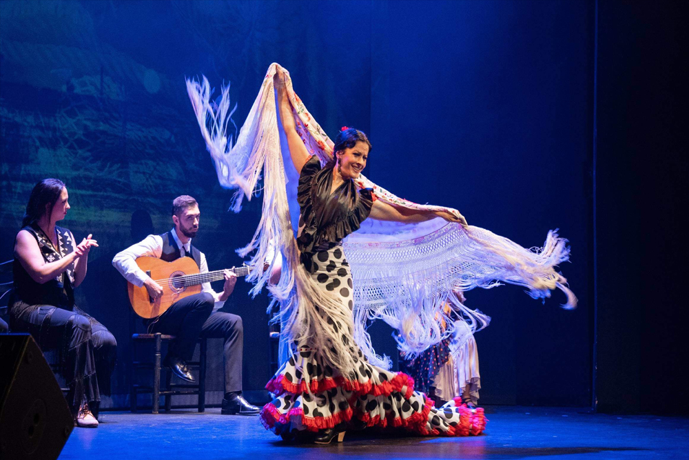 Sensaciones flamenco show in Granada - Image 2 of 5