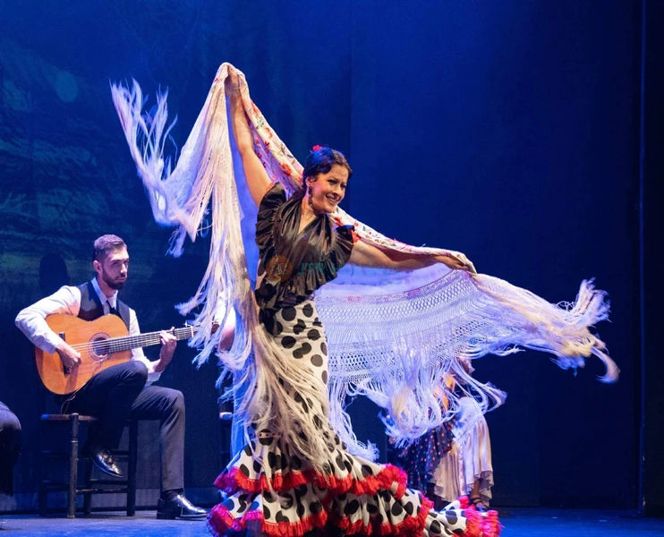 Sensaciones Flamenco Show | Authentic Flamenco in Granada - JTR Holidays - Image 2 of 5