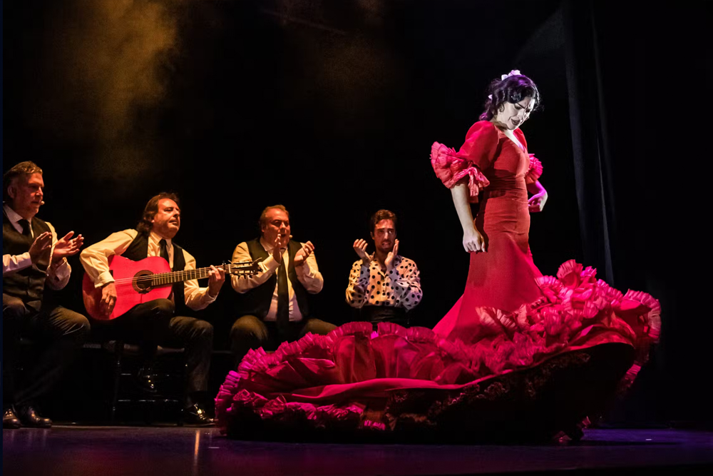Sensaciones flamenco show in Granada - Image 3 of 7