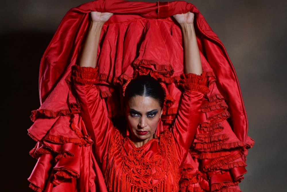 Sensaciones flamenco show in Granada - Image 5 of 7