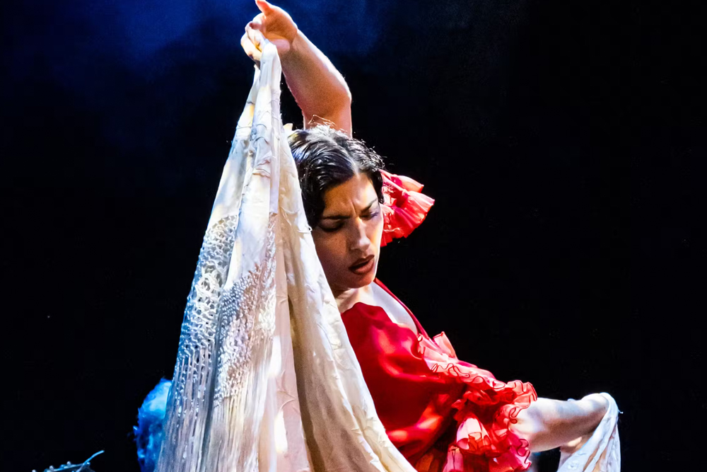 Sensaciones flamenco show in Granada - Image 6 of 7