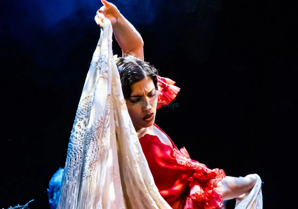 Espectáculo Sensaciones Flamenco en Granada - Image 6 of 7