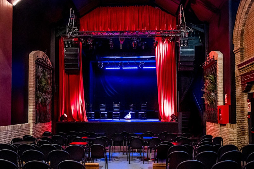 Sensaciones flamenco show in Granada - Image 7 of 7