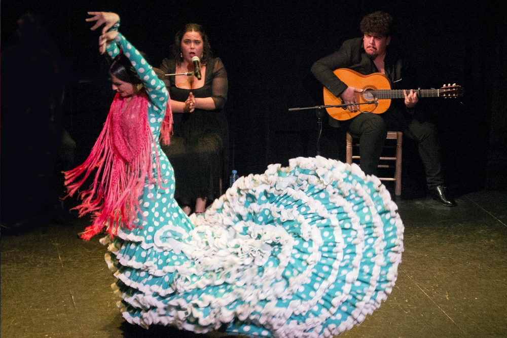 Triana Theater Flamenco Show in Seville - Experience the Triana Theater Flamenco Show in Seville, where top dancers, musicians, and singers bring the passion of flamenco to life. Enjoy an unforgettable night of authentic Spanish culture in a historic and intimate theater setting. Triana Theater Flamenco Show in Seville - Image 3 of 5