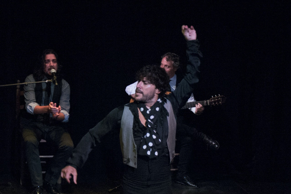 塞维利亚特里亚纳剧院弗拉明戈表演 - Image 7 of 9