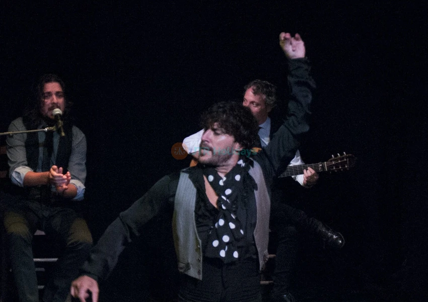 Espectáculo de Flamenco en el Teatro Triana en Sevilla - Image 7 of 9