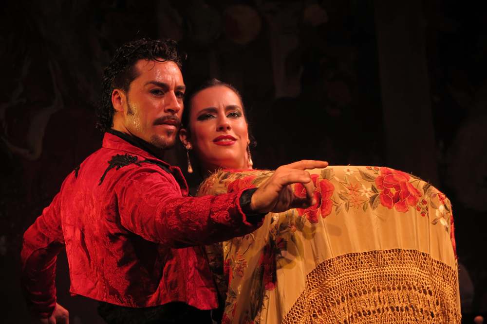 塞维利亚特里亚纳剧院弗拉明戈表演 - Image 8 of 9