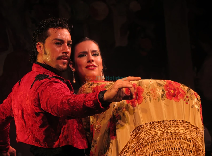Espectáculo de Flamenco en el Teatro Triana en Sevilla - Image 8 of 9