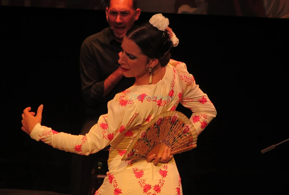 Triana Theater Flamenco Show in Seville | Authentic Flamenco Experience - Image 9 of 9
