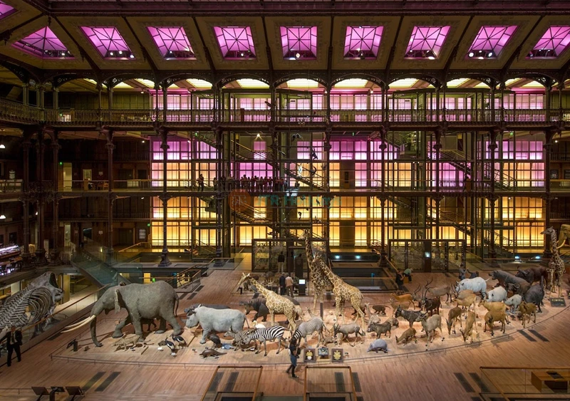 Grande Galerie de l'Évolution