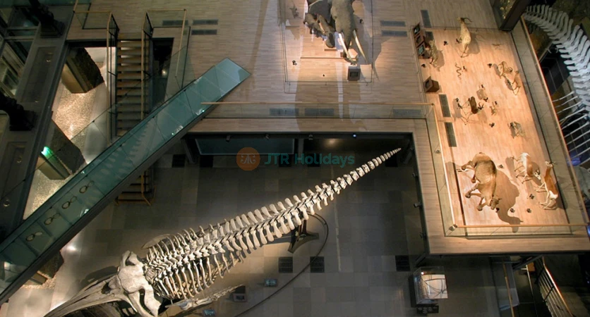 Grande Galerie de l'Évolution in Paris | Explore the Evolution of Life on Earth - JTR Holidays