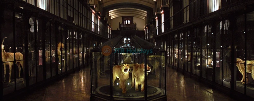 Grande Galerie de l'Évolution - Découvrez la Grande Galerie de l'Évolution à Paris, où vous pouvez explorer l'histoire fascinante de la vie sur Terre. Admirez des expositions consacrées aux animaux, à la biodiversité et au travail de célèbres naturalistes dans une splendide salle du XIXe siècle. Grande Galerie de l'Évolution - Image 3 sur 5