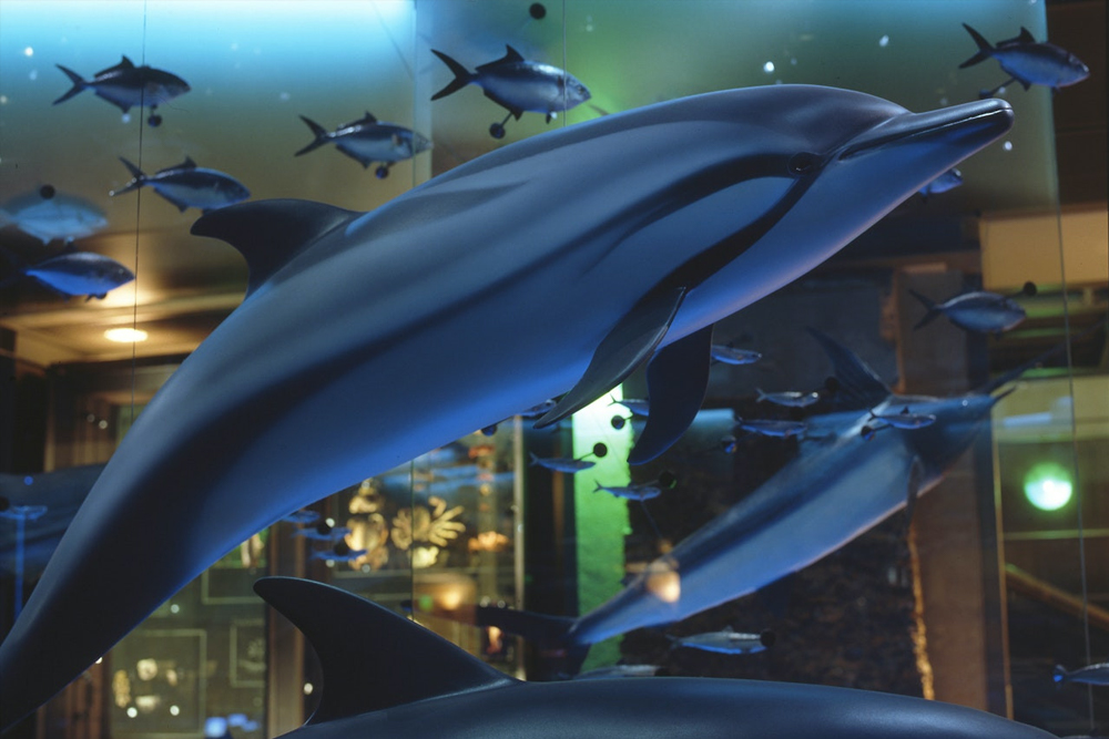 Grande Galerie de l'Évolution - Image 4 sur 5