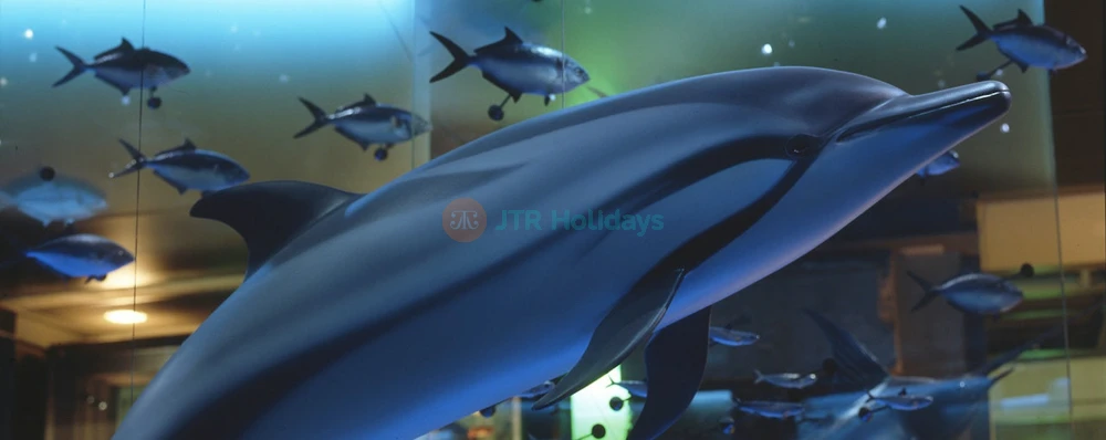 Grande Galerie de l'Évolution - Image 4 of 5