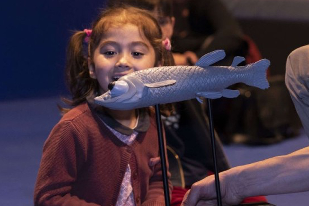 Grande Galerie de l'Évolution - Image 5 of 6