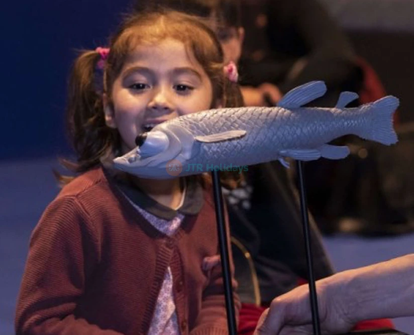 Grande Galerie de l'Évolution - Image 5 of 5