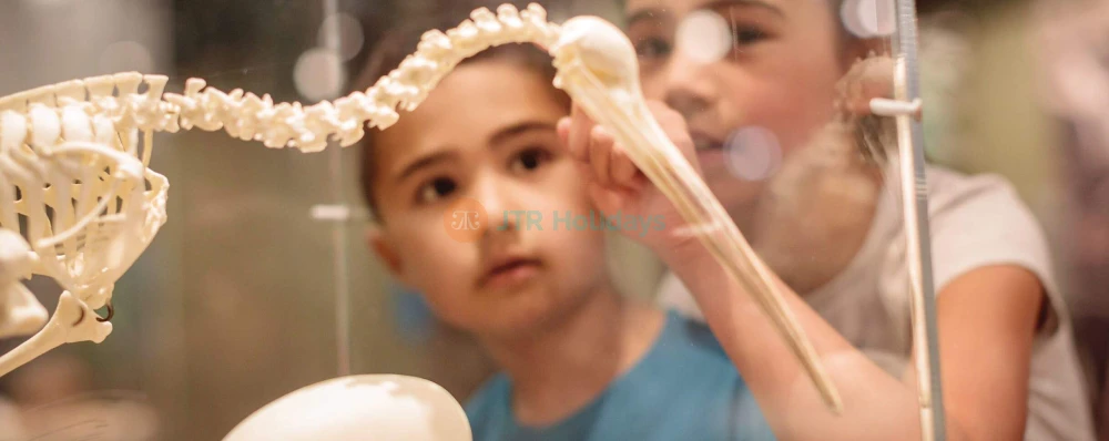 National Kiwi Hatchery Tour - Discover NZ's Iconic Bird Conservation - JTR Holidays - Image 3 of 5