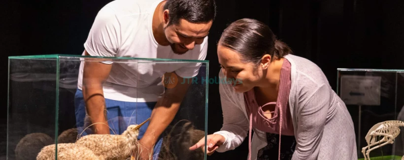 National Kiwi Hatchery - Visit the National Kiwi Hatchery and explore New Zealand's leading kiwi conservation center. Learn about the care and hatching process of kiwi chicks with expert guides. Experience the interactive Kiwi Burrow, see real kiwi in a nocturnal enclosure, and witness the dedication of kiwi specialists. A must-visit for wildlife enthusiasts and conservation supporters National Kiwi Hatchery - Image 4 of 5