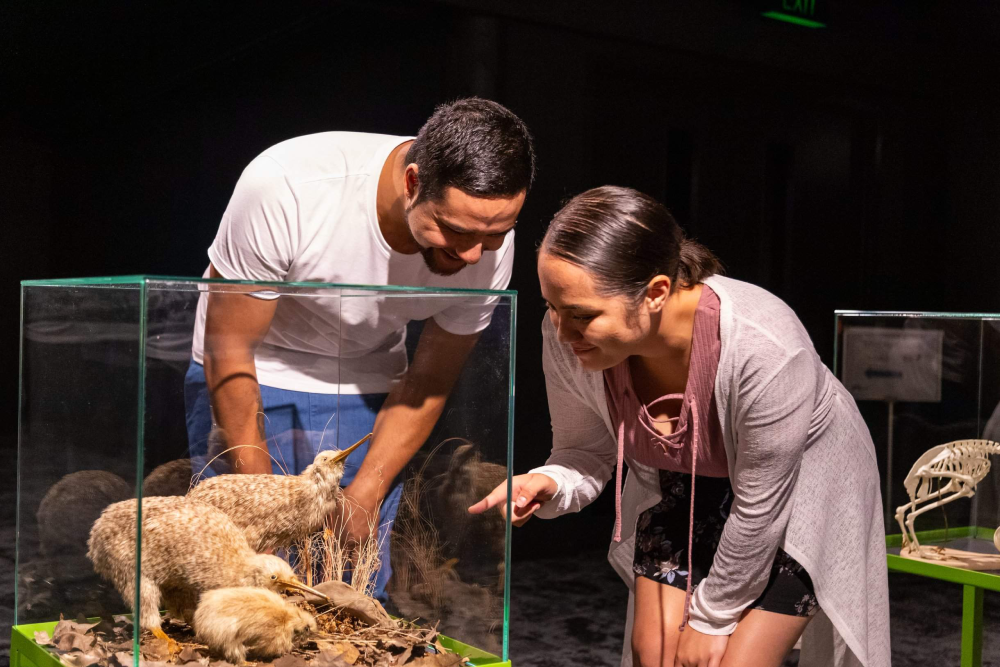 National Kiwi Hatchery - Image 4 of 7