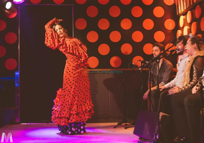Tarantos Flamenco Show in Barcelona