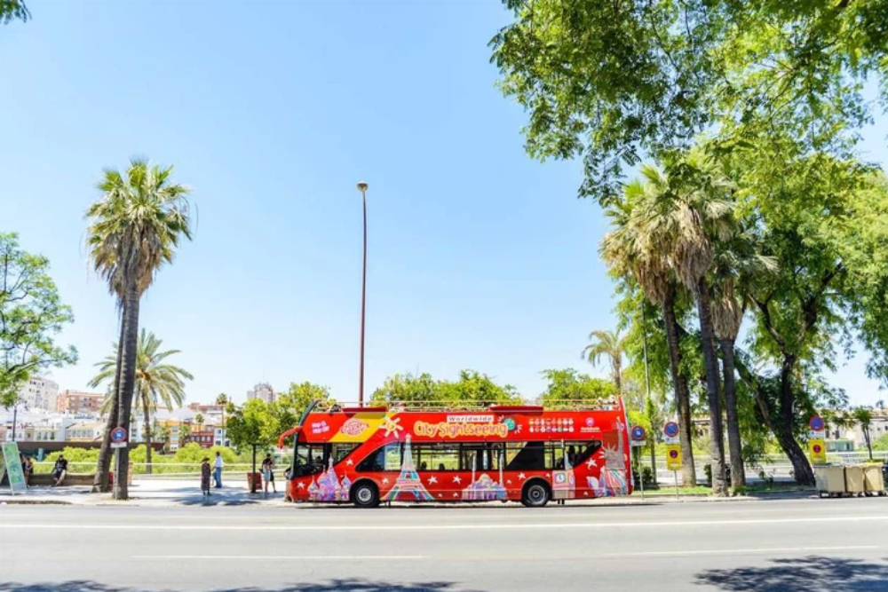 City Sightseeing Seville Hop-on Hop-off Bus Tour - Image 5 of 5