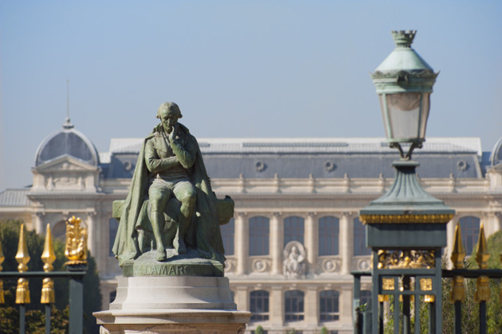 Museum of Man - Image 1 of 5