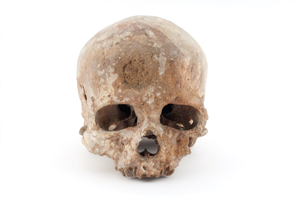 Museum of Man - Image 2 of 5