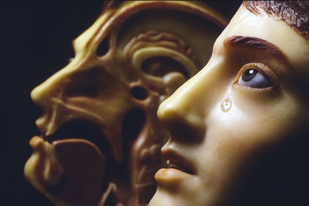 Museum of Man - Image 5 of 5