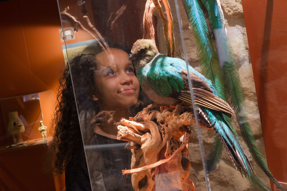 Chocolate Museum – Choco-Story Paris - Image 3 of 5