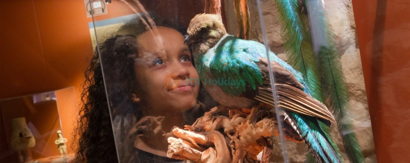 Chocolate Museum – Choco-Story Paris - Image 3 of 5