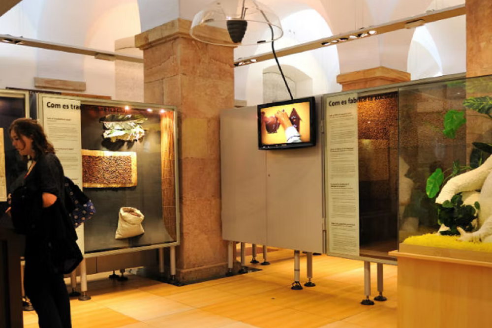 Musée du Chocolat (Museu de la Xocolata de Barcelone) - Image 5 sur 5