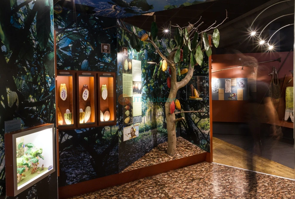 Chocolate Museum – Choco-Story Paris | Explore the History of Chocolate and Taste Delights - JTR Holidays - Image 6 of 7