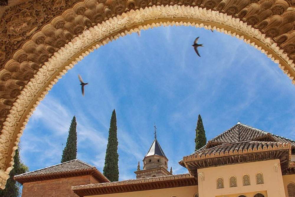 Billet pour l'Alhambra à Grenade - Réservez votre billet pour l'Alhambra à Grenade et découvrez le spectaculaire palais, les palais nasrides, les jardins du Generalife et l'Alcazaba. Évitez les longues files d'attente et profitez d'une visite sans accroc de ce site du patrimoine mondial de l'UNESCO, riche en histoire et à l'architecture époustouflante. Billet pour l'Alhambra à Grenade - Image 1 sur 5