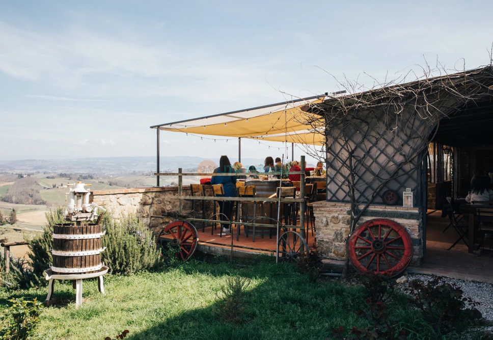 Pisa, Siena & San Gimignano Day Tour from Florence | Explore Tuscany - JTR Holidays - Image 6 of 10