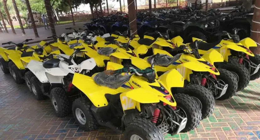 ドバイの朝の砂漠サファリ(クワッドバイク付き) - Image 1 of 7