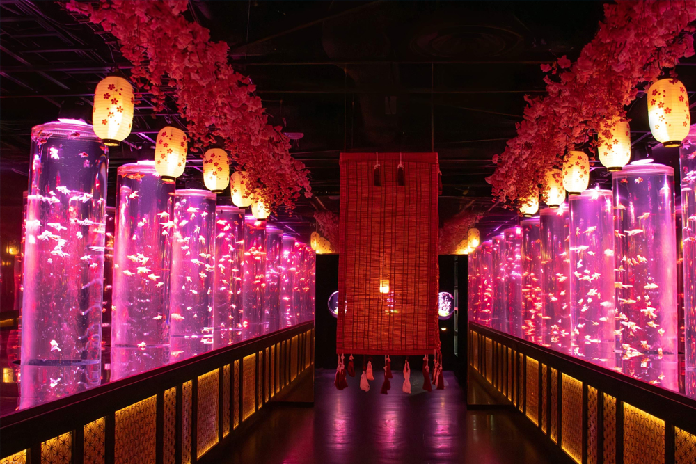 アートアクアリウム美術館 銀座 チケット - Image 1 of 8