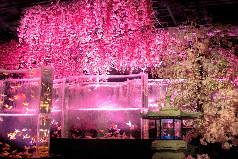 Art Aquarium Museum GINZA ticket - Image 3 of 5
