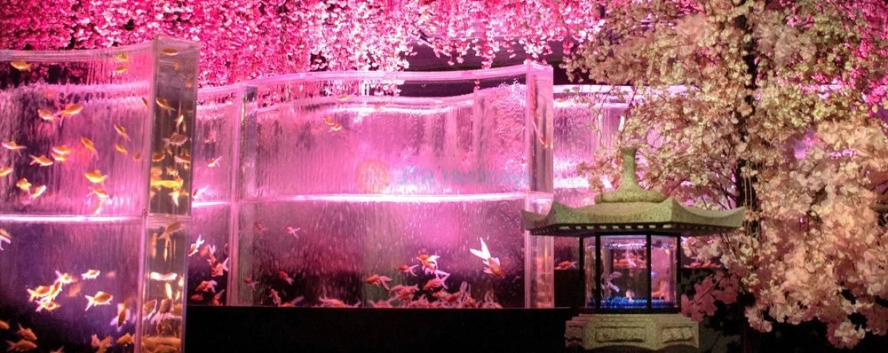 Art Aquarium Museum GINZA Ticket | Unique Tokyo Goldfish Art Experience - JTR Holidays - Image 3 of 5