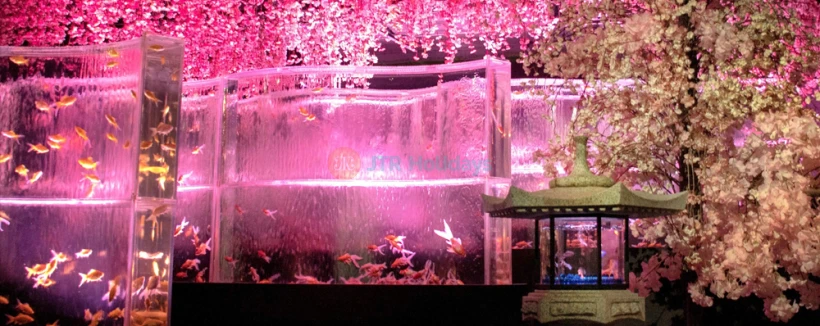 アートアクアリウム美術館 銀座 チケット - 画像 3 の 5