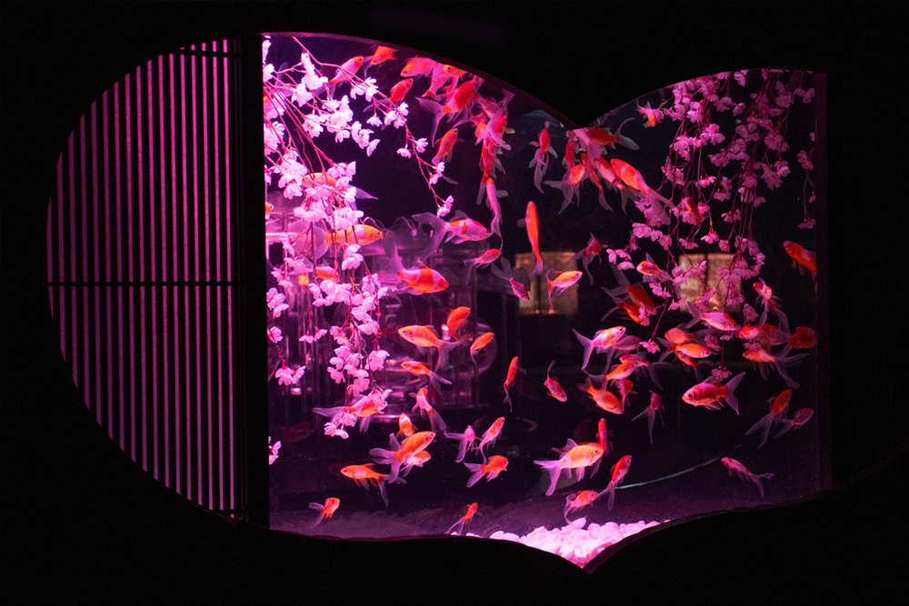 Art Aquarium Museum GINZA ticket - Image 5 of 5