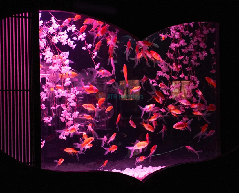 Art Aquarium Museum GINZA Ticket | Unique Tokyo Goldfish Art Experience - JTR Holidays - Image 5 of 5